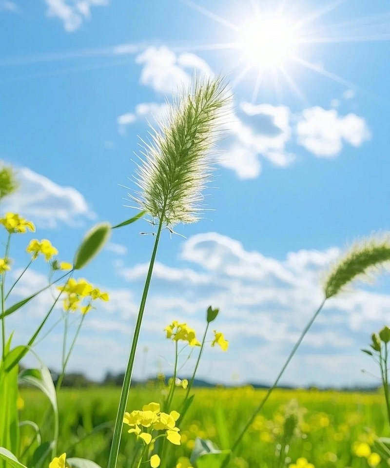 ảnh avatar bầu trời đẹp 2