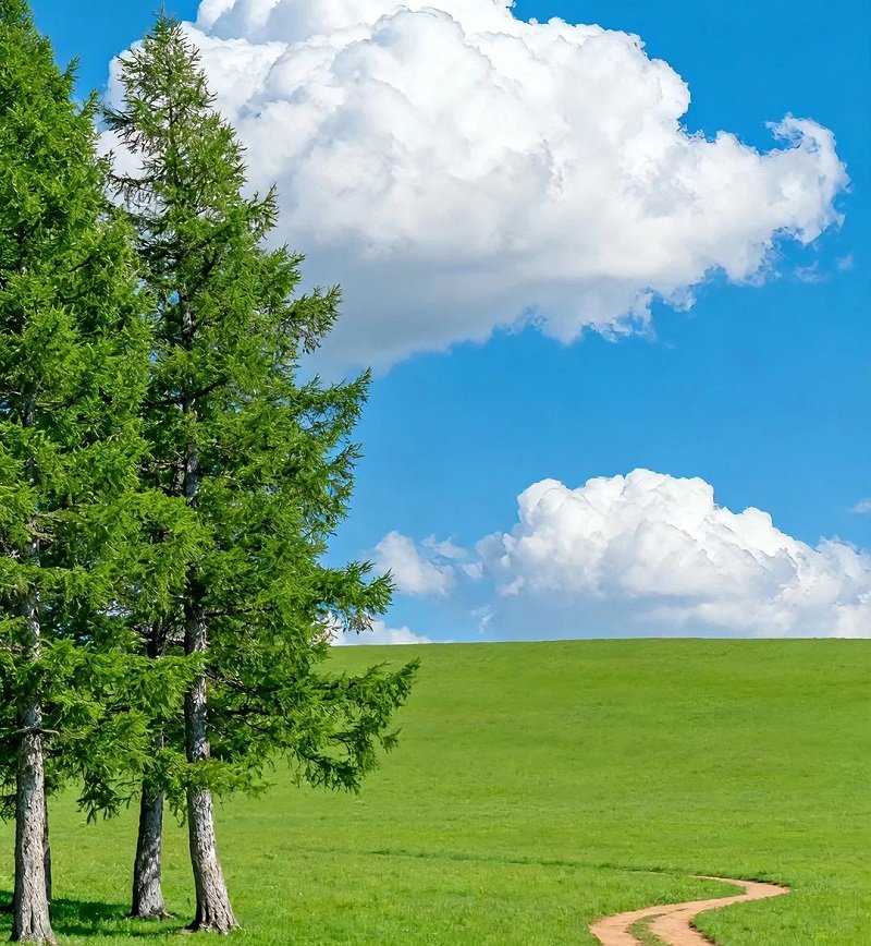 ảnh avatar bầu trời đẹp 8