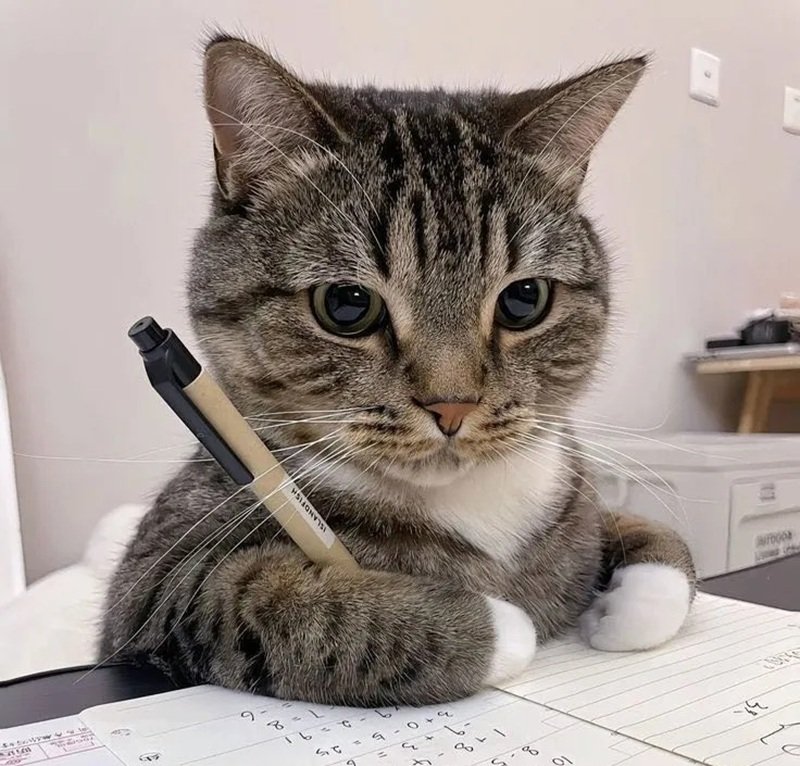 ảnh avatar toán học 12