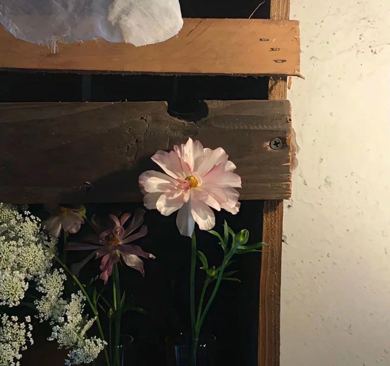 ảnh đại diện zalo buồn 5