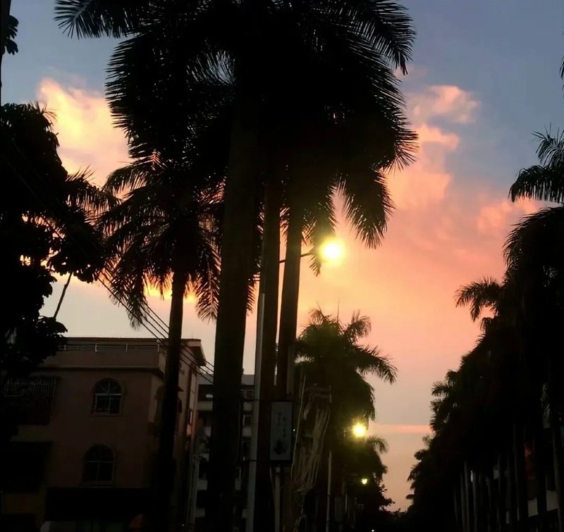 ảnh đại diện zalo buồn 6