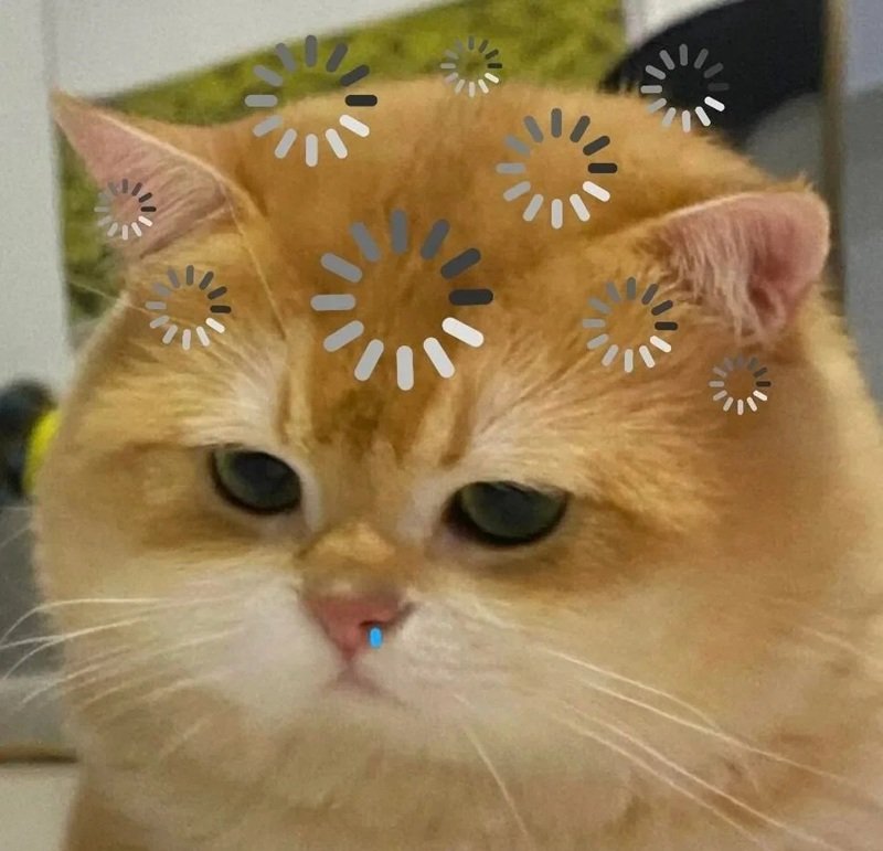 ảnh meme hài bựa 11