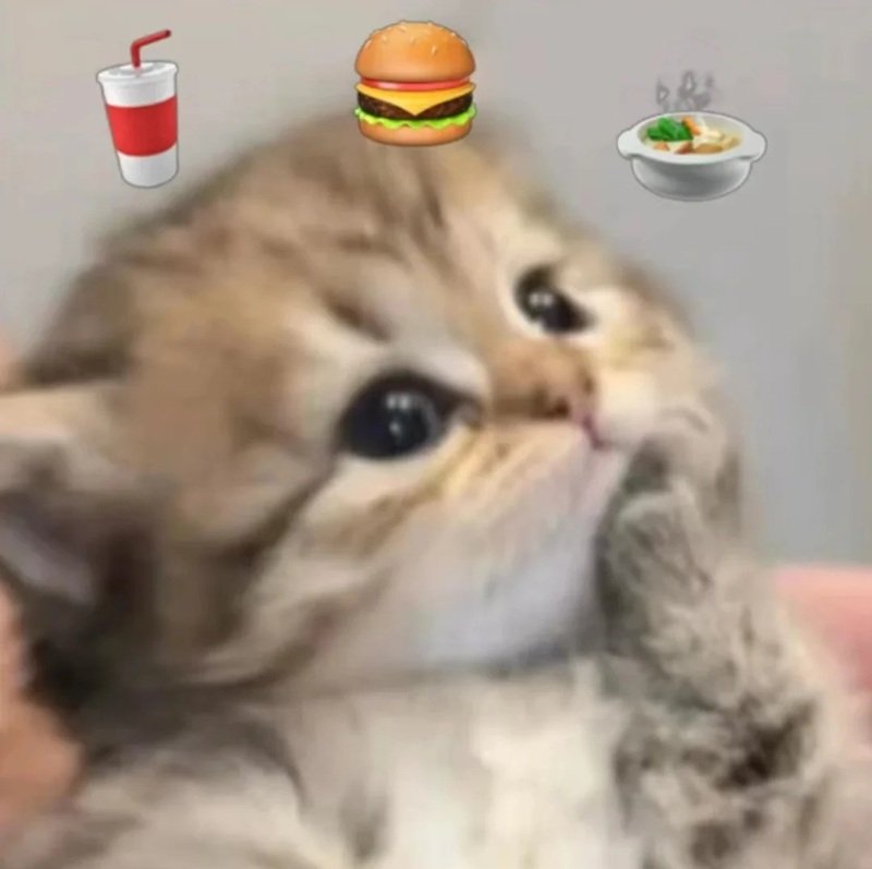 ảnh meme hài bựa 27