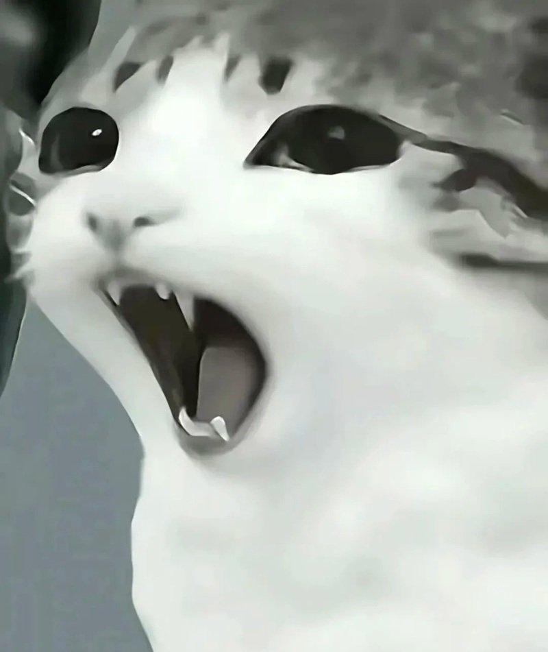 ảnh meme hài bựa 32