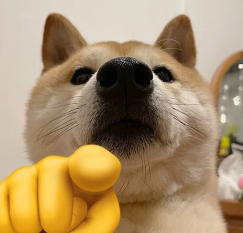 ảnh meme hài bựa 5