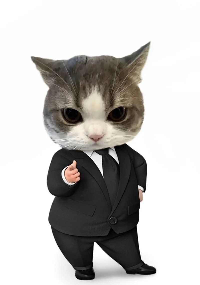 ảnh mèo meme thả tim