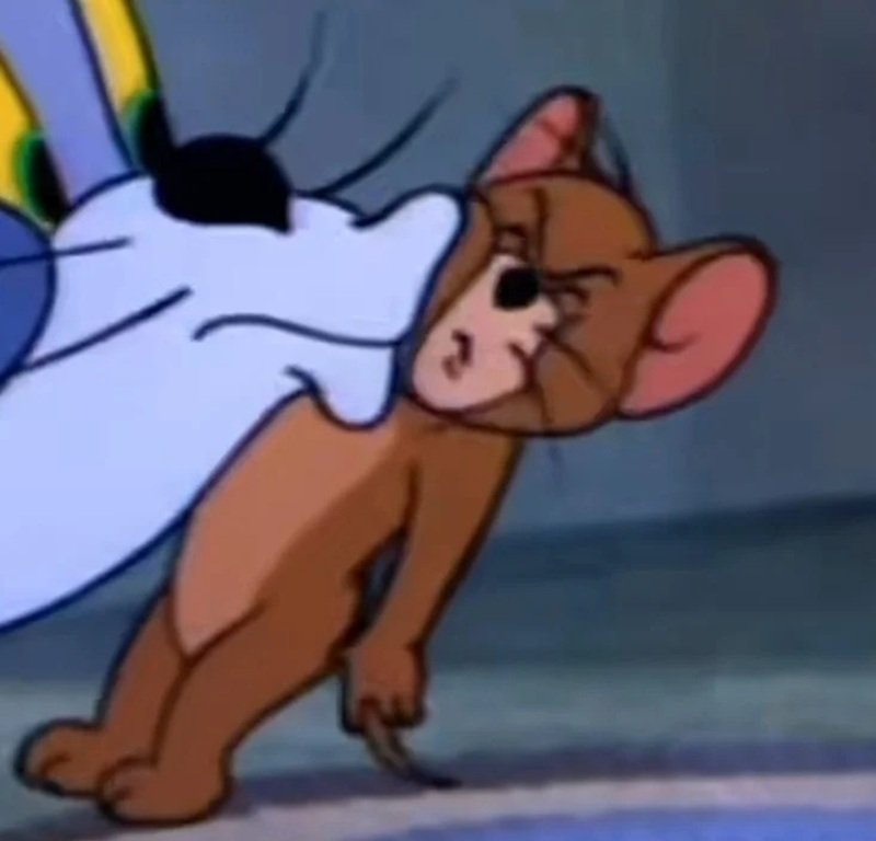 ảnh tom và jerry meme