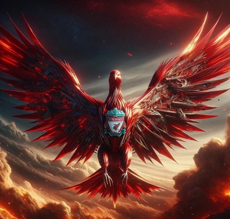 avatar bóng đá đẹp 24