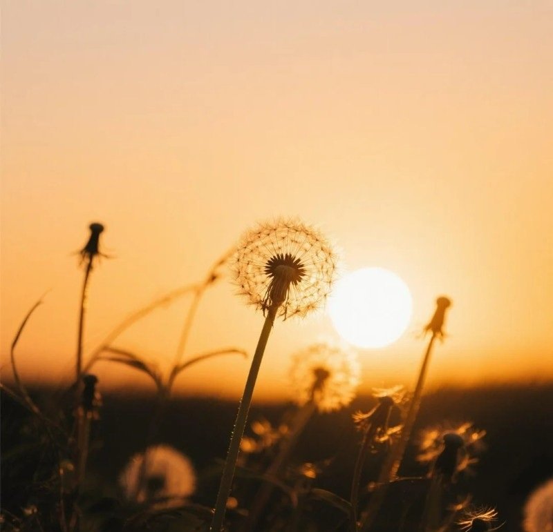 avatar buồn đơn giản 9