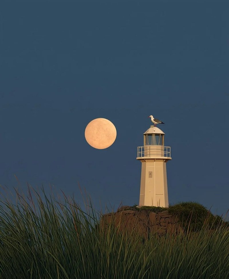 avatar buồn tâm trạng cô đơn 8