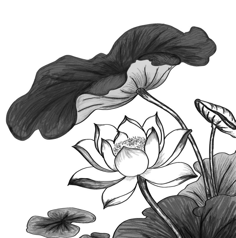 avatar chia buồn hoa sen trắng đám tang 17