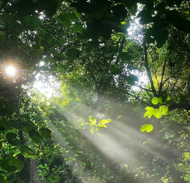 avatar chill phong cảnh 1