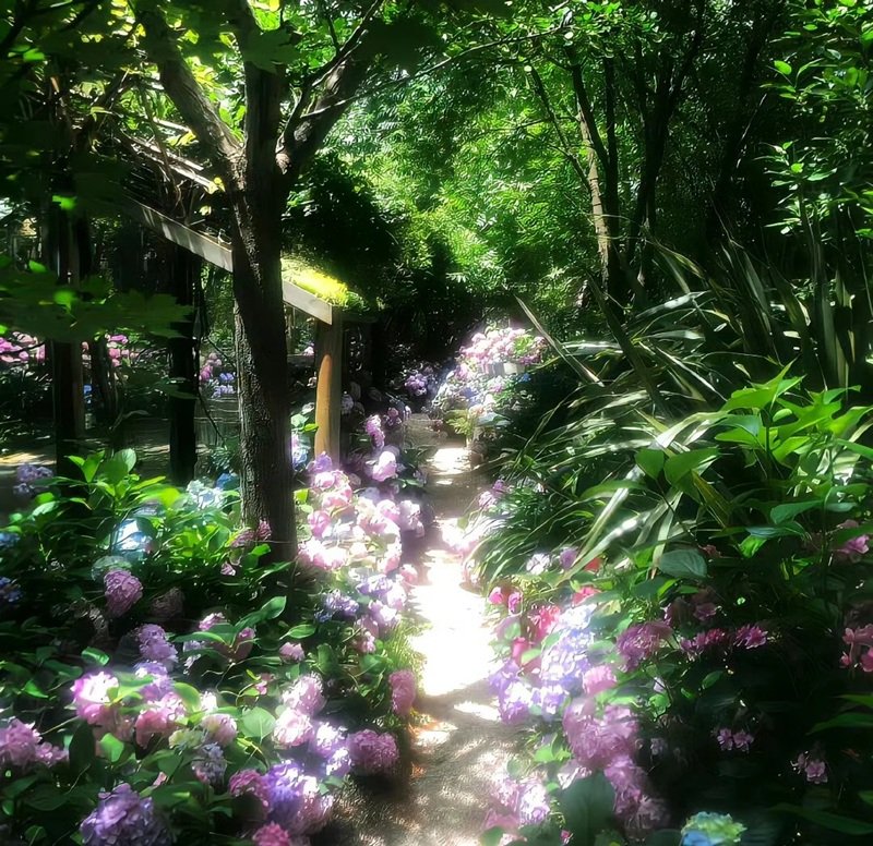 avatar chill phong cảnh 3