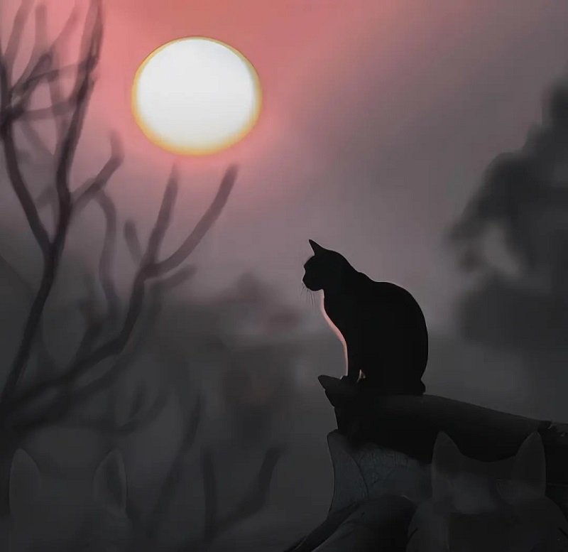 avatar cho người hướng nội 11