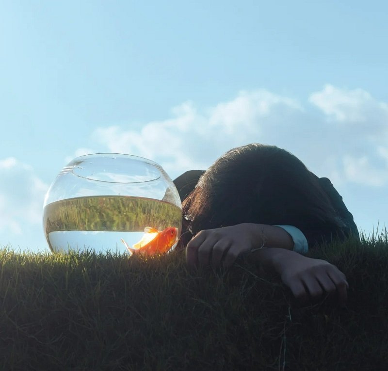 avatar cho người hướng nội 8