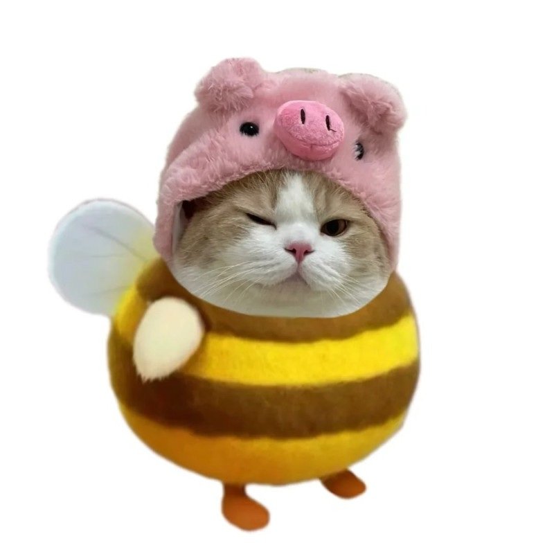 avatar cute mèo ngáo 4