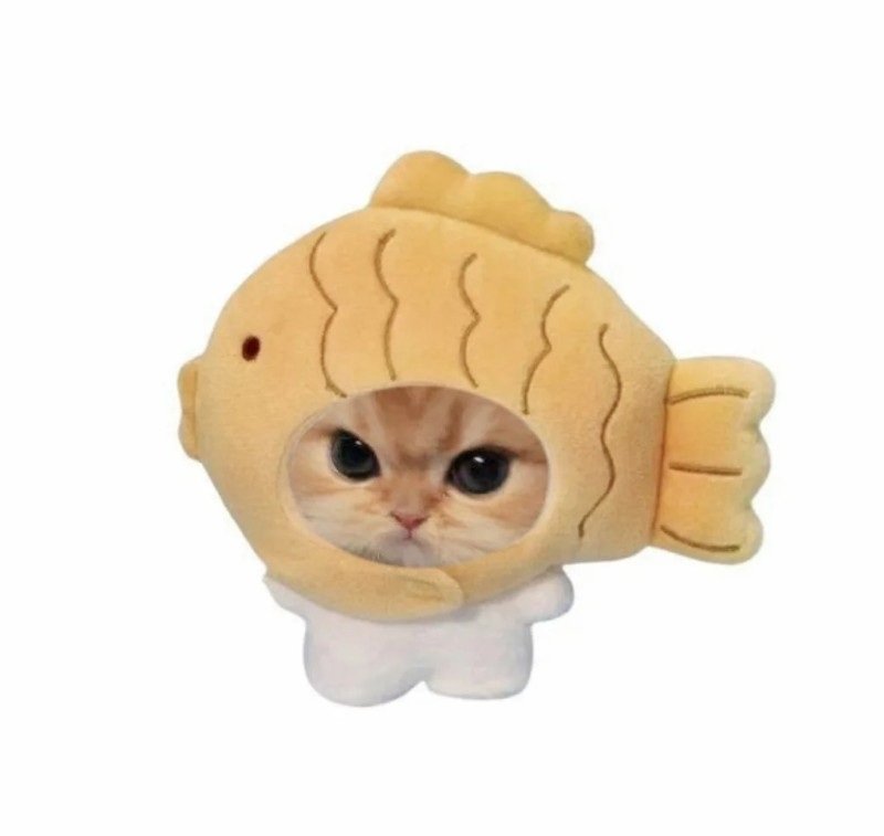 avatar cute mèo ngáo 6