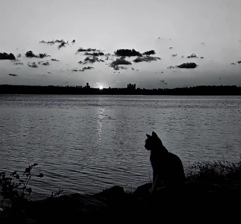 avatar đen buồn 2