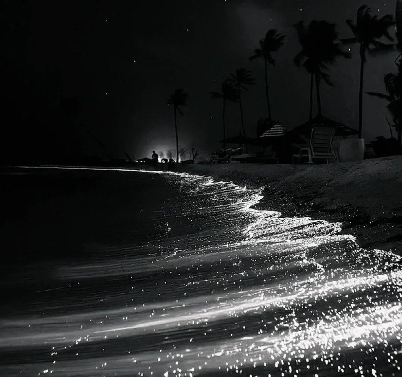 avatar đen buồn 9