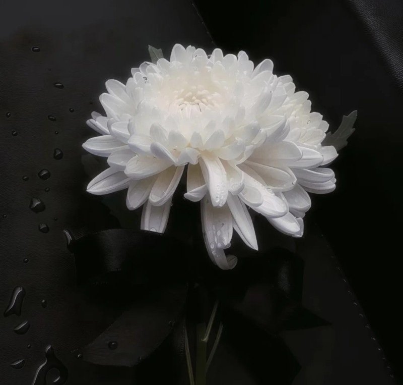 avatar đen trắng người mất 10