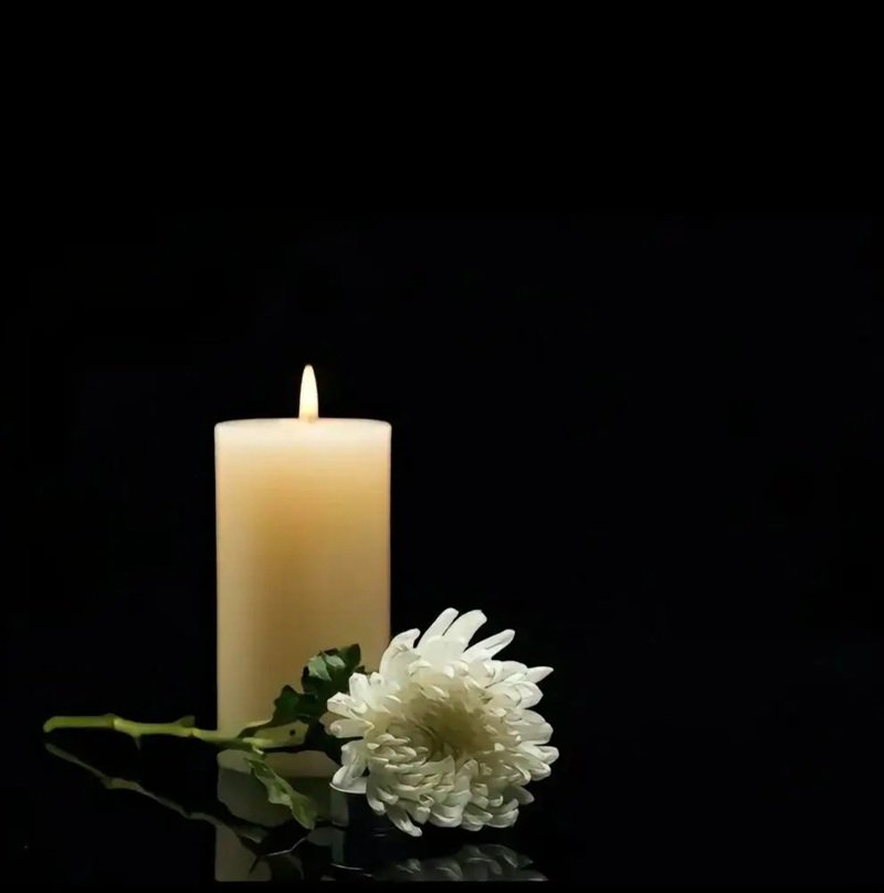 avatar đen trắng người mất 8