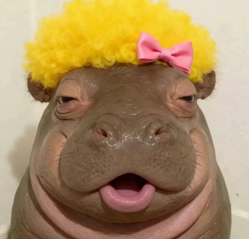 avatar đôi bạn thân vô tri 18