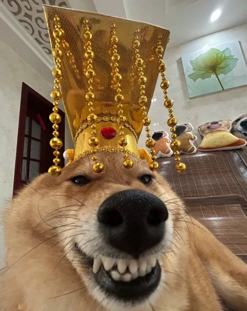 avatar fb vô tri nam 9