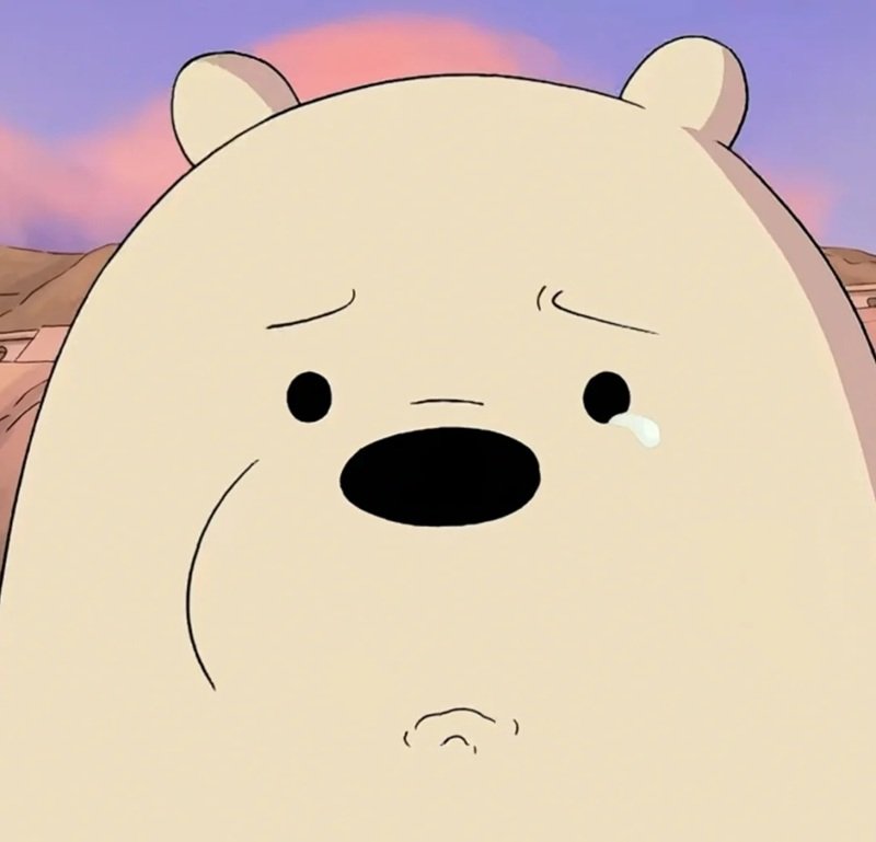 avatar gấu trắng buồn 1
