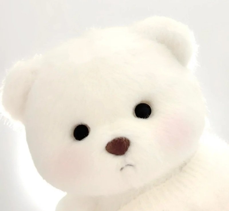 avatar gấu trắng buồn 21