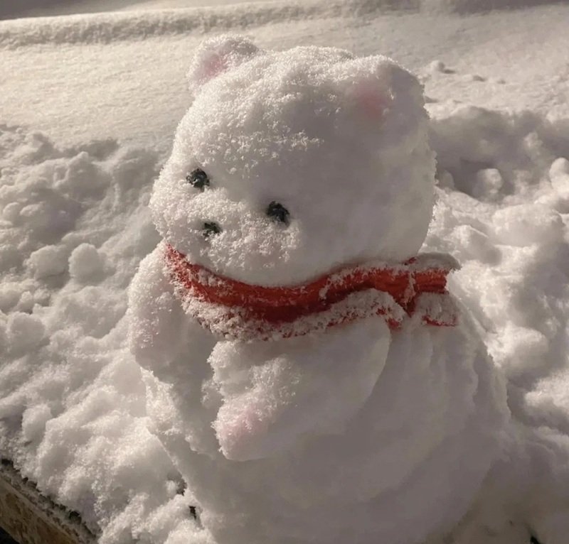 avatar gấu trắng buồn 25