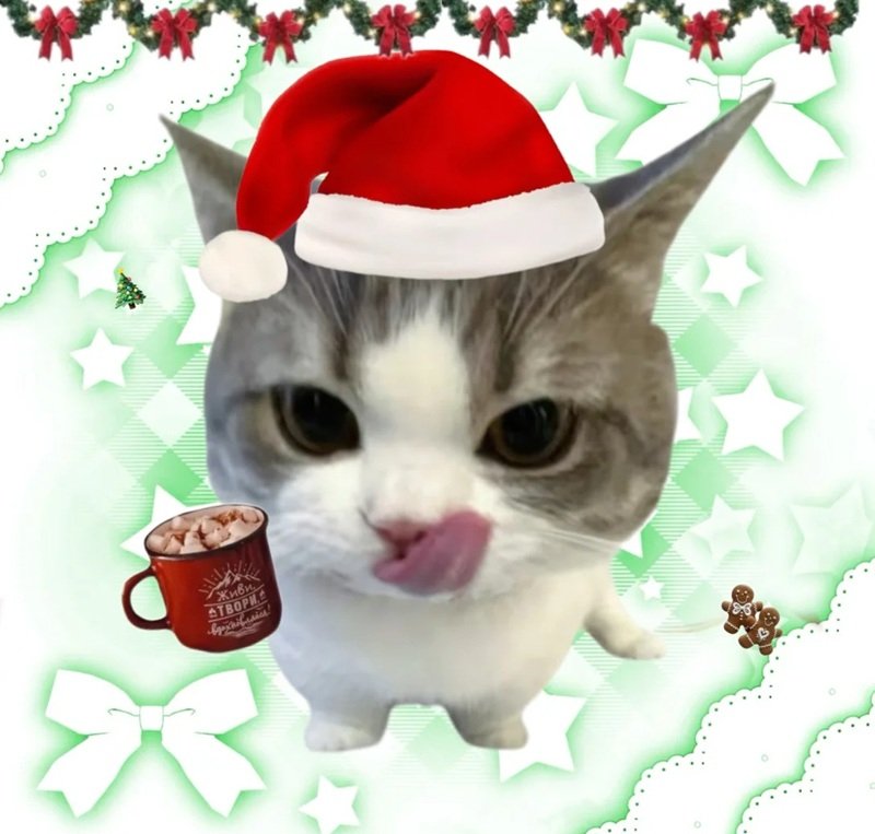 avatar giáng sinh mèo vô tri 4