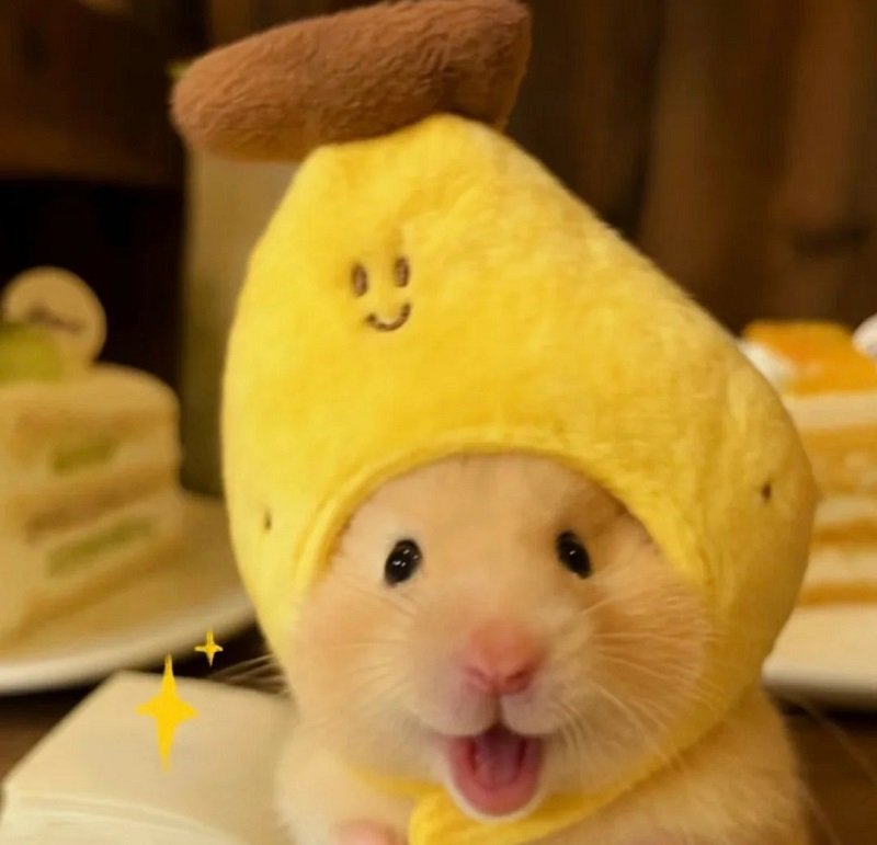 avatar hài hước vô tri 2