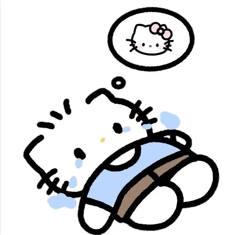 avatar hello kitty đôi 21