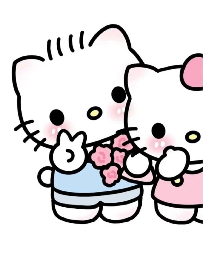 avatar hello kitty đôi 39