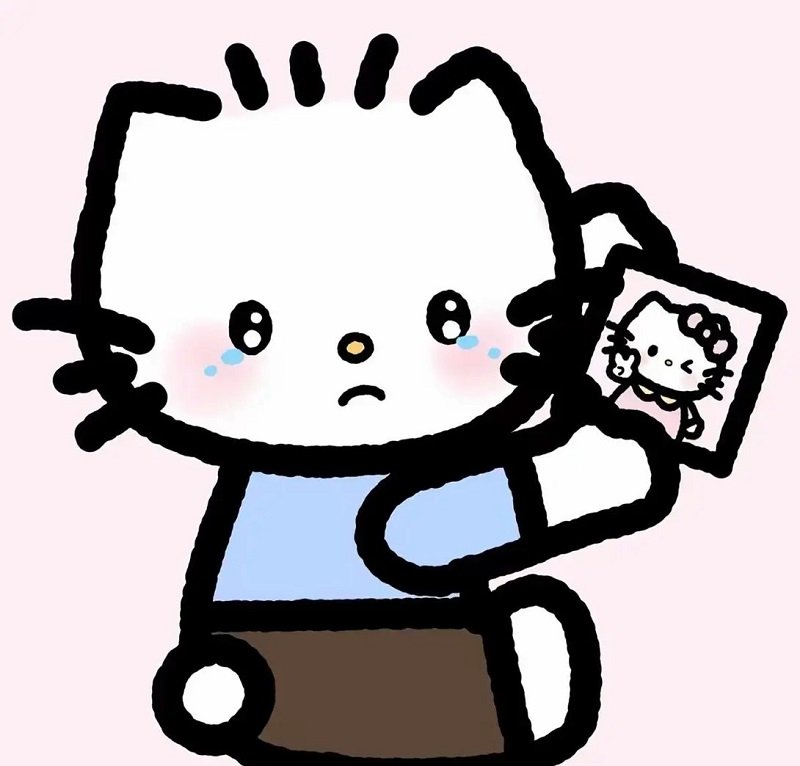 avatar hello kitty đôi 8