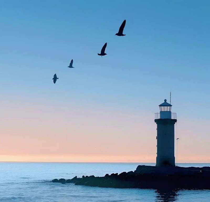 avatar mặc định của facebook 9