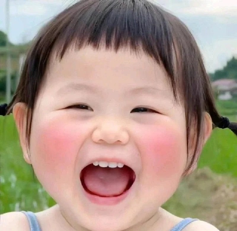 avatar meme ảnh em bé cute 9