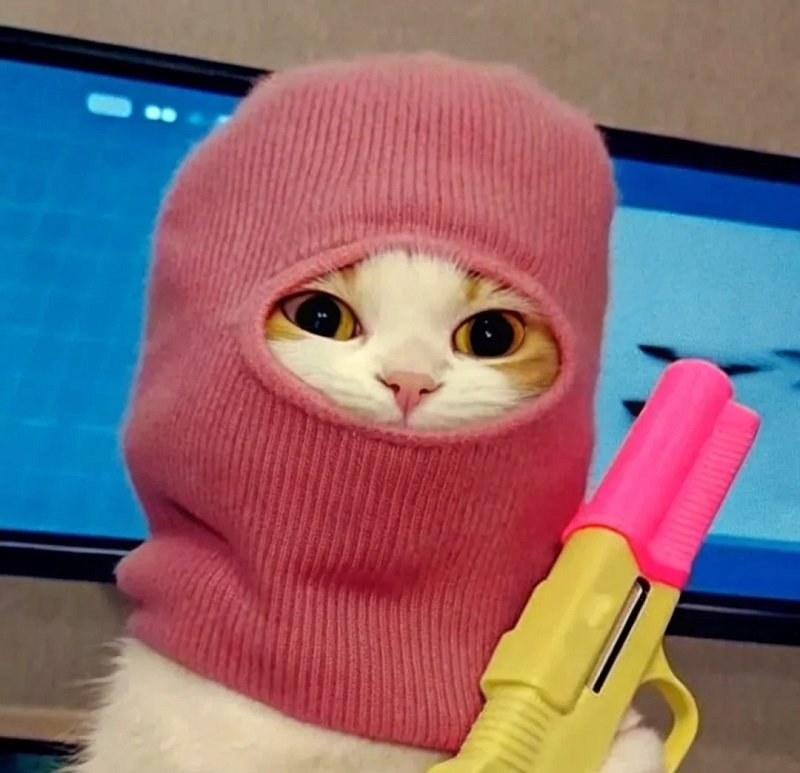 avatar meme bựa 11