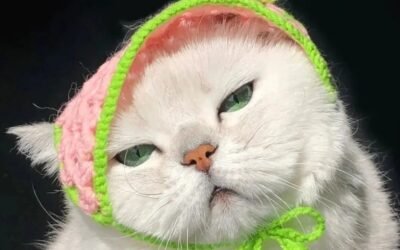 avatar meme hài bựa 9