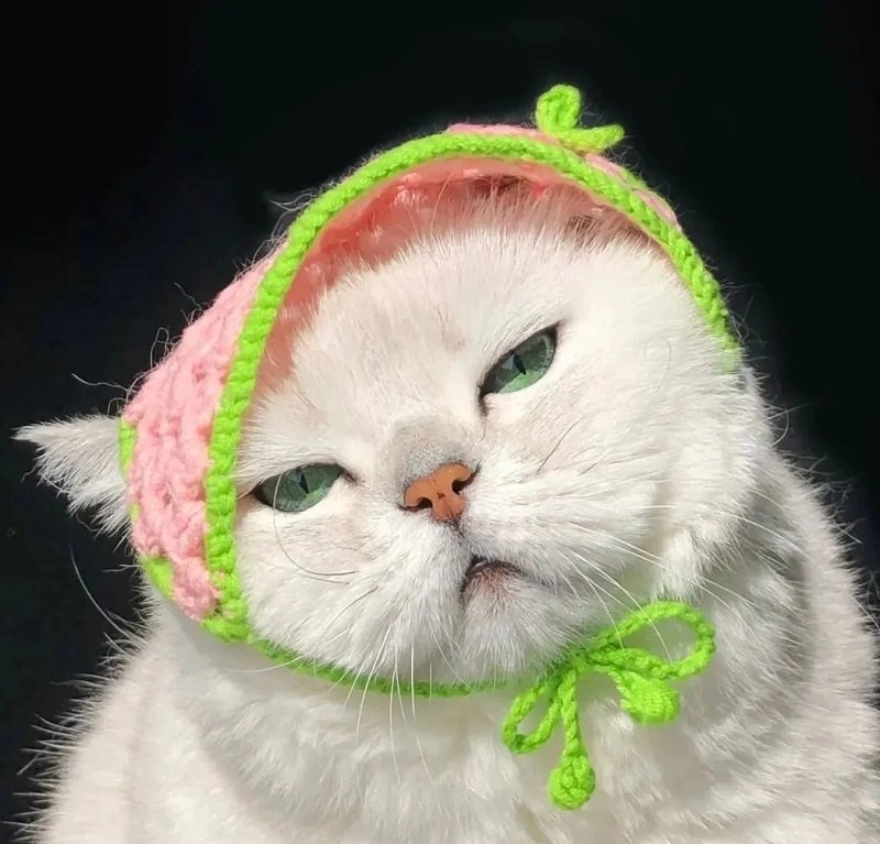 avatar meme hài bựa 9