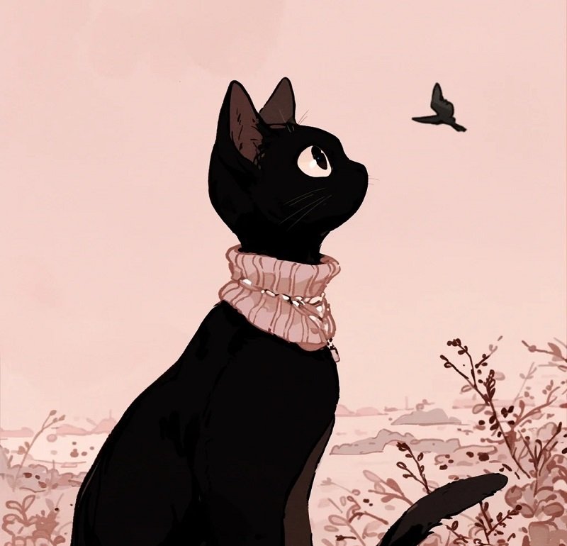 avatar mèo đen cute 1