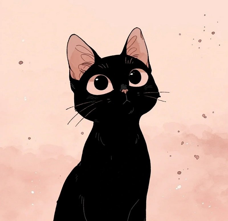 avatar mèo đen cute 13