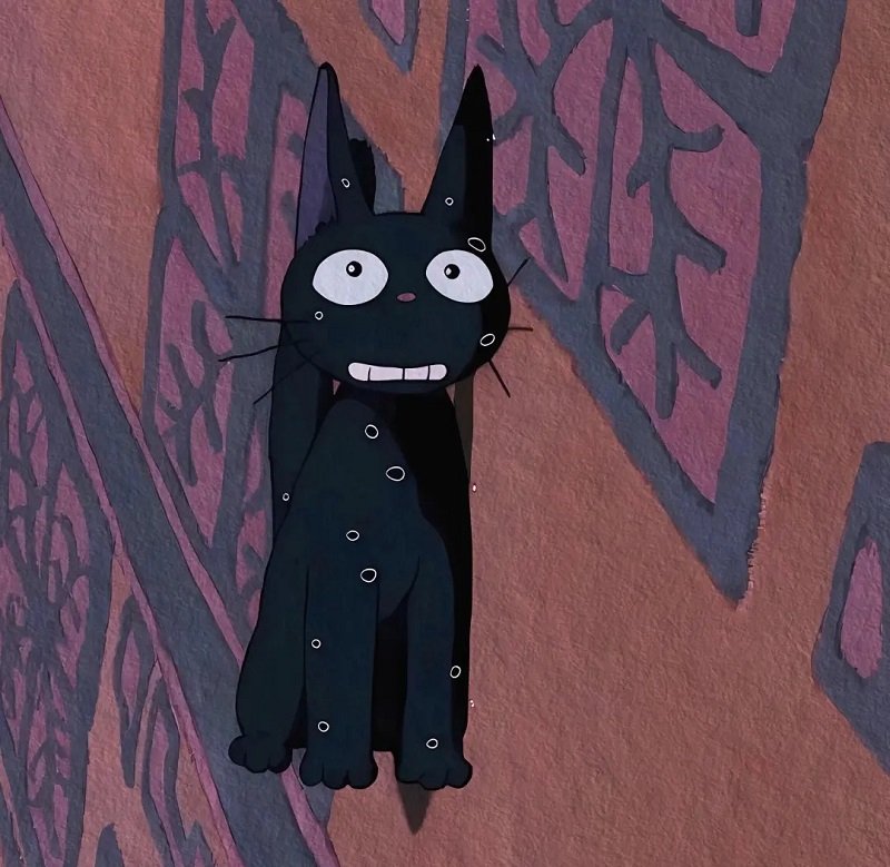 avatar mèo đen cute 5