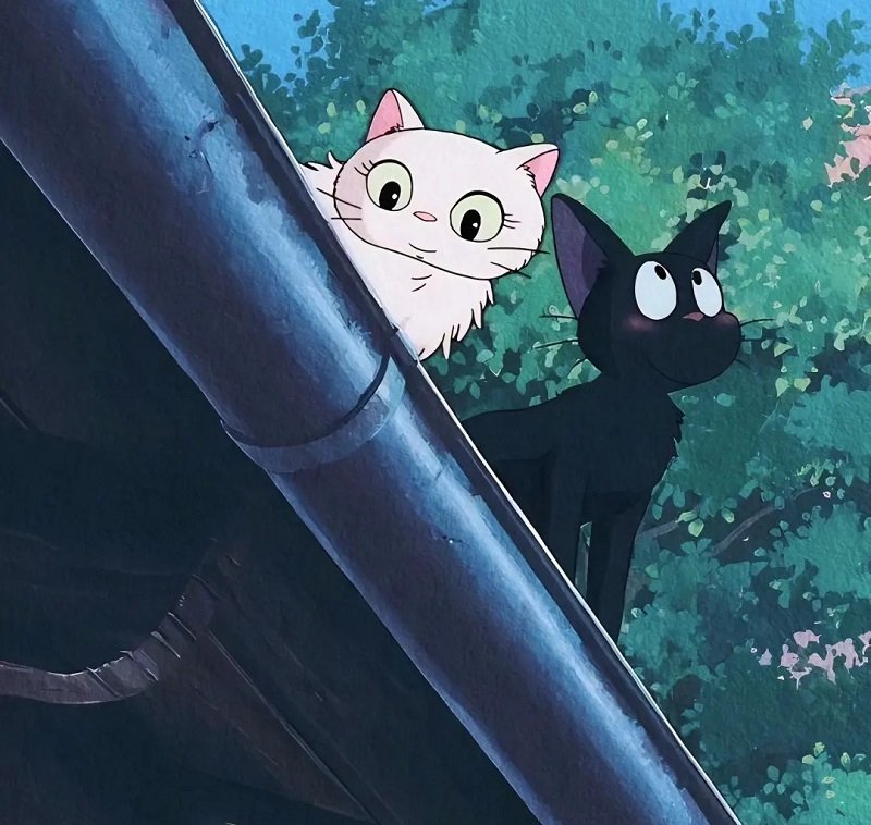 avatar mèo đen cute 7