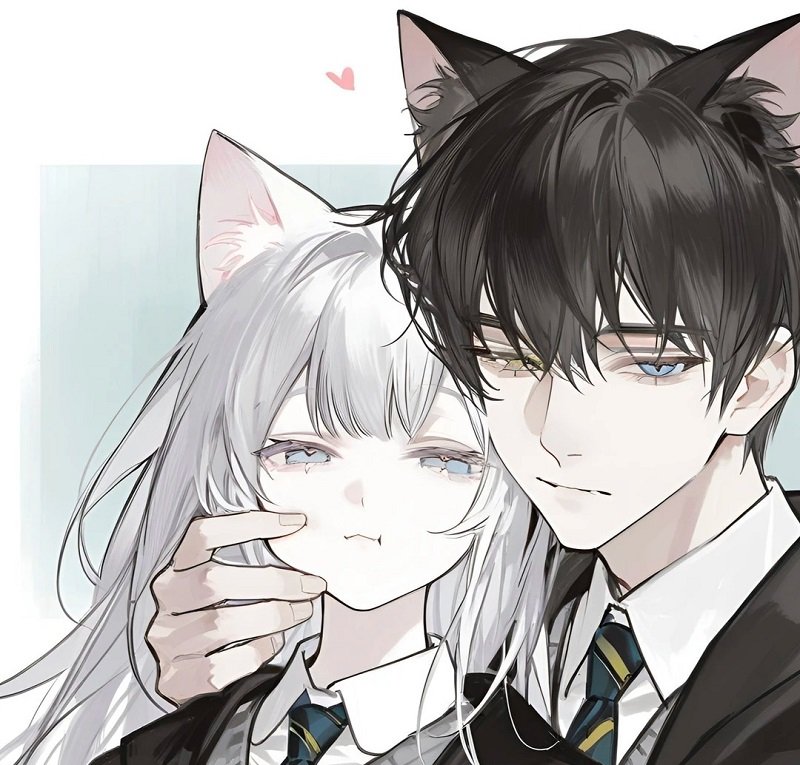 avatar mèo đôi 11