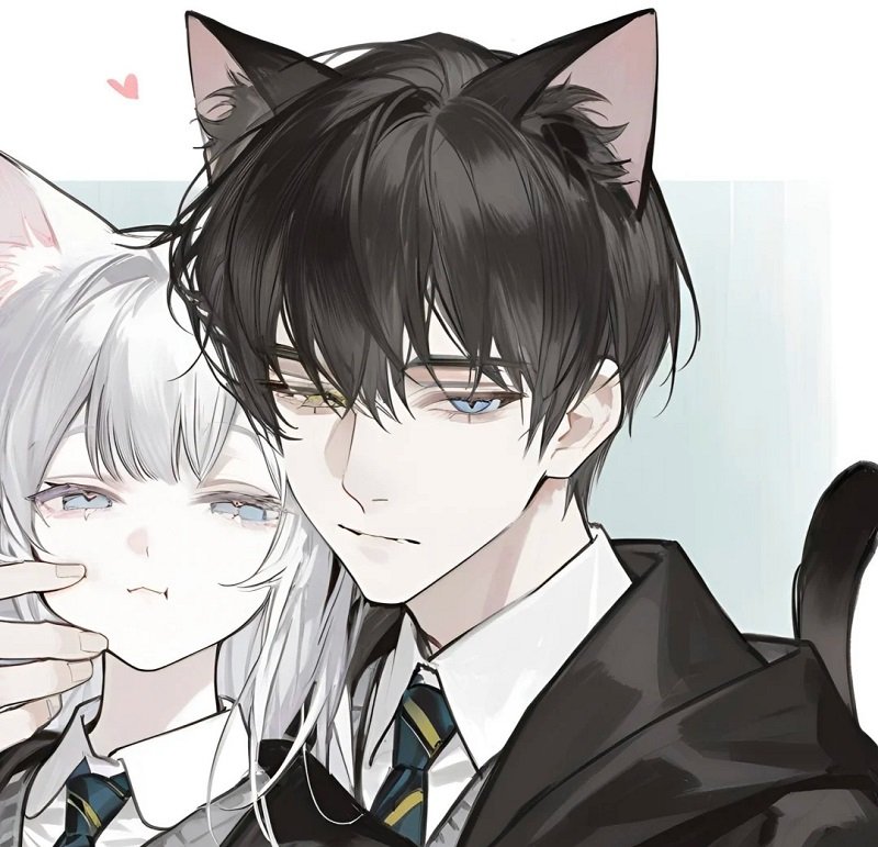 avatar mèo đôi 12