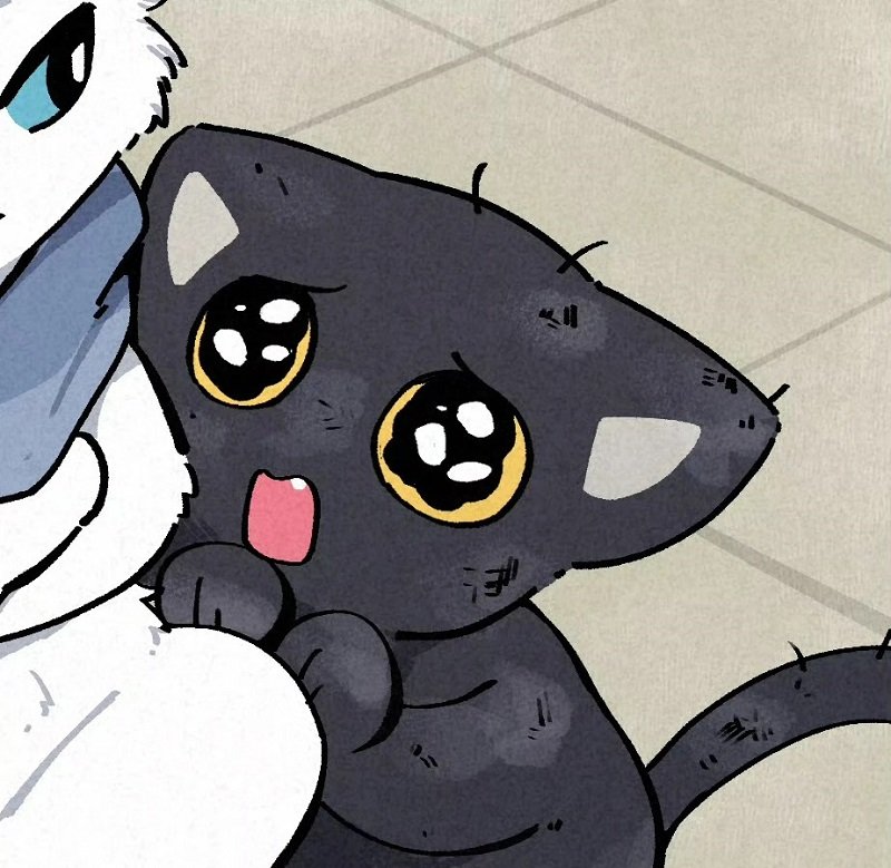 avatar mèo đôi 41