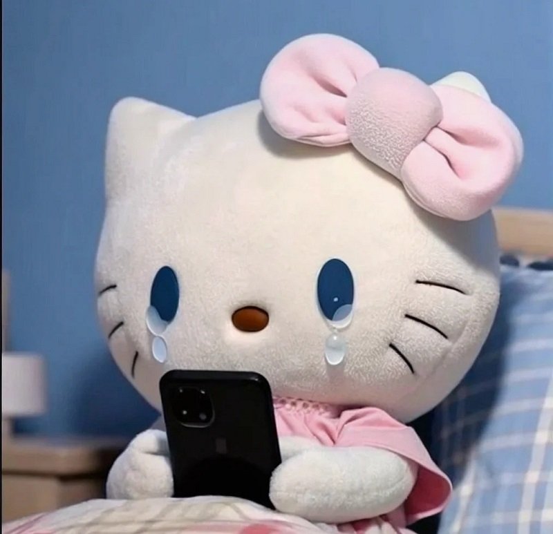 avatar mèo khóc 10