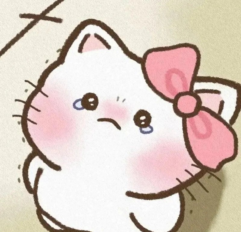 avatar mèo khóc hài 1