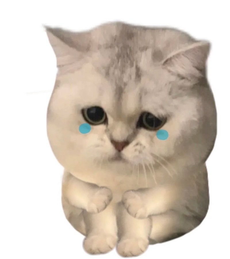 avatar mèo khóc hài 5
